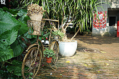 博雅1v3榜一大视频｜博雅1v3榜一：直播奇迹瞬间，揭秘游戏主播如何一挑三，征服观众心-2