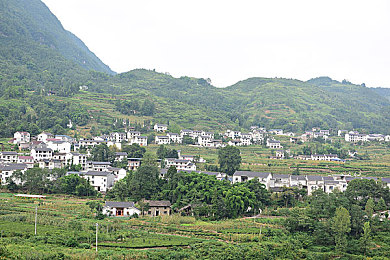 摄影师kk捆绑李梓熙视频｜揭露网络迷雾：摄影师kk捆绑风波，警醒清朗网络空间-5