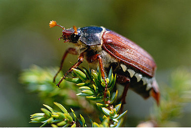 8x8拔播拔播永久免费|直播革命!8x8拔播免费畅享,开启直播新时代之旅-3