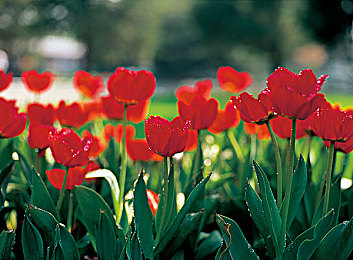 xgua.tv｜沉浸虚拟世界，互动直播新体验-2