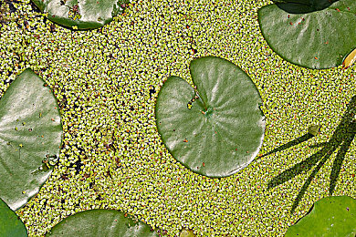 玩亲女乱目录伦｜男子涉嫌性侵亲女，伦理缺失引发社会关注-2