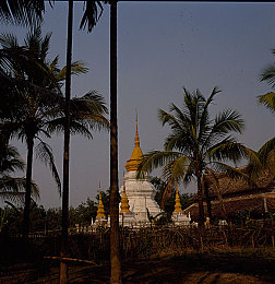 黄色软件app下载｜网络安全之旅：警惕色情陷阱，守护清新网络世界-2