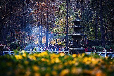 歪歪斜斜秋蝉下拉式漫画｜古风画卷下拉奇遇，秋蝉之谜解谜之旅-5