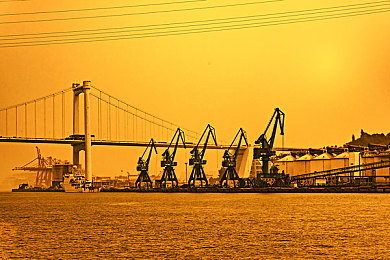 palipali2轻量版官方｜高效办公，Palipali2轻量版，助力职场精英-5