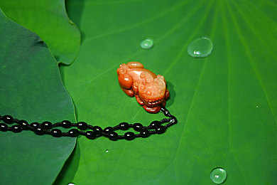 厨房后入｜美食谜境：厨房后门解密冒险之旅-3