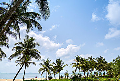 最新怪物黑大公鸡异族|神秘黑大公鸡异族:探寻未知世界之旅-1