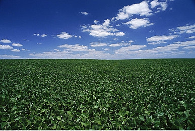 Gay打男生光屁股网站-3