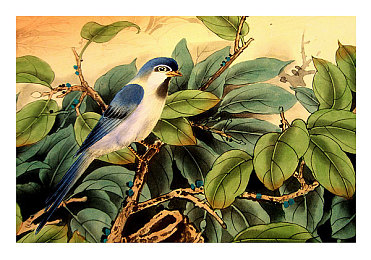 男生插曲女生｜情感交响曲：插曲中的男生与女生之美-3