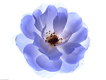 老师脱裤子秘 让我爽了｜探索教育边界：课堂奇遇激发学习新风尚-1