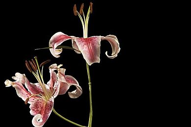 好大 用力 深一点女女｜女性健身新潮流：“好大用力深一点”挑战极限，塑造自信身材-2