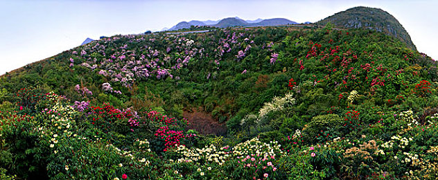 麻花豆传媒剧国产mv免费版特色｜麻花豆传媒免费MV版上线引发年轻人热议-4