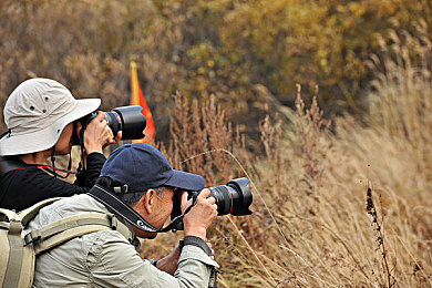▓草莓视频▓站长推荐｜探索视频宝库：草莓推荐，趣味知识盛宴-4