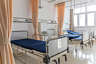 51张警犬9分10秒头撞玻璃|警犬危机:9分10秒的玻璃撞击,揭秘训练安全困境-4