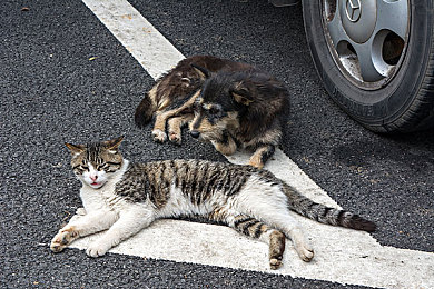 特别的体检小雨和主任招聘故事｜心跳旋律：小雨的非凡招聘之旅-2