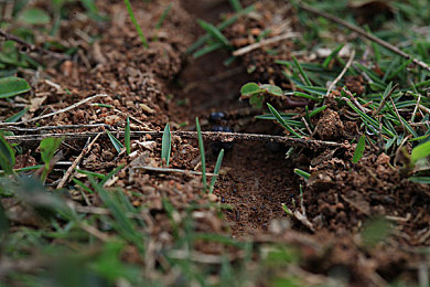 暴走黑料|网络暴力揭秘:暴走黑料引关注,共建和谐网络环境刻不容缓-2