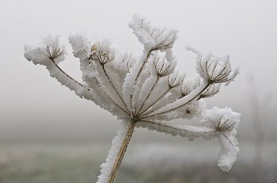 18+游戏手游破解版|手游盗版问题加剧,行业需共寻破解之道-3