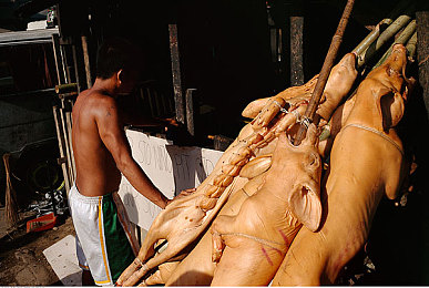 少女b站哔哩视频播放量2023｜千千万万少女心，B站播放量巅峰探秘-2