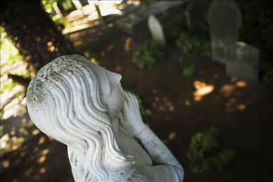 修修漫画在线登录页面免费漫画入口页面破解｜揭秘修修漫画，畅游免费漫画海洋的快捷之门-3