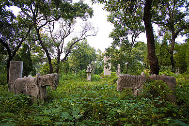 黑料社下载｜揭秘网络阴影：黑料社下载曝光隐私与机密，警示网络安全警钟长鸣-3