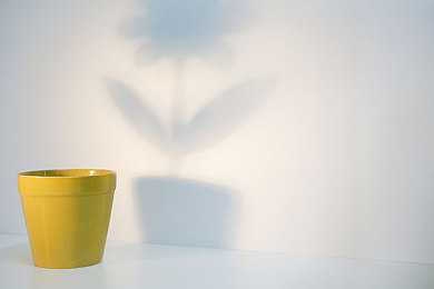 推特蓝鸟版下载 18r高危风险|揭秘“推特蓝鸟版”:隐私泄露与财产安全的双重危机-2