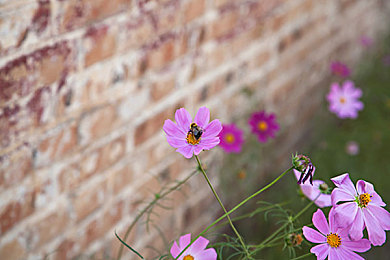 国产AV小电影｜性观念转变大冒险,探索开放与自律-3