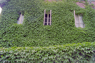 王者女角色全身没有小爱心｜月神剑舞，冰封仙子：揭秘《王者荣耀》无爱心的独特女英雄魅力-4