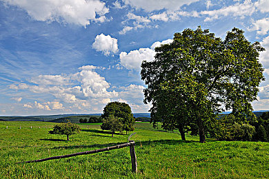 美国黄色录像｜解码激情：美国黄色录像秘境之旅