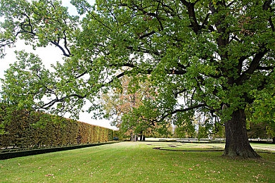 金发尤物和黑巨茎交缠｜公共道德风波：广场亲密接触事件引发社会热议-4