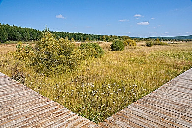 看B站夜月直播｜B站盛况直播超50万观众引发热议-5