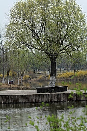 天天摸天天操｜科技助力生活，＂天天摸天天操＂带你轻松享受按摩与锻炼新体验-5