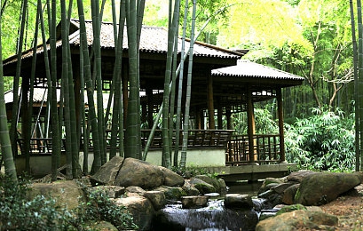 45岁沈阳阿姨叫真好听｜梦幻江湖：45岁阿姨“真好听”助你畅游江湖-3