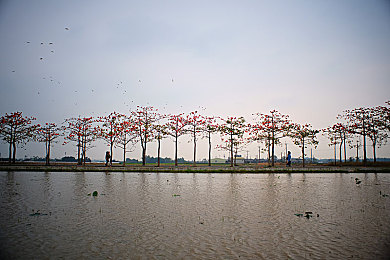 YY6080｜YY6080：直播盛宴，视觉盛宴，心灵震撼-1