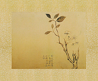 涉黄软件大全｜网络惊曝“涉黄软件大全”：多款软件传播色情内容，社会呼吁净化网络环境-3