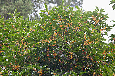 五年沉淀只做精品｜匠心沉淀，五年磨一剑——品质传奇之旅-4