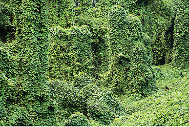 yp请牢记此域名防止失联｜网络守护者：域名守护传奇