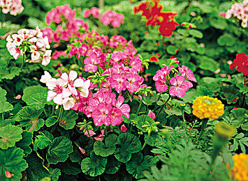 KTV少少爷互口KTV少｜娱乐风暴：KTV少少爷口型大挑战-2