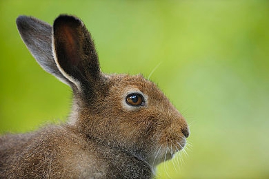 7ax3cc最新版本更新内容|7ax3cc新版本升级,界面焕新功能强大,体验飞跃-1