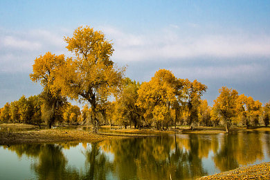 黄网站下载|清朗网络,守护心灵——揭秘黄网站下载,共建文明游戏空间-5