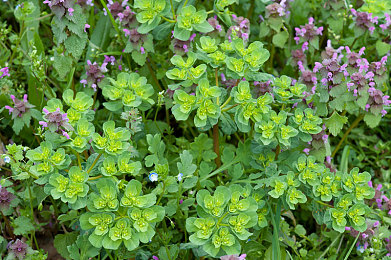 时代少年团六人入张真源｜时代少年团张真源引领蜕变之旅，青春偶像团体书写辉煌篇章-2