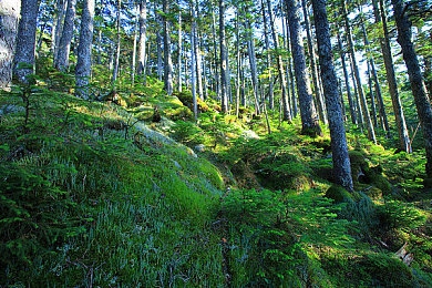 jalap waswas waswaskino10｜全球艺术盛宴启幕：Jalap Waswas Waswaskino10多元文化大放异彩，国际交流再升级-4