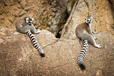 麻豆网址｜新兴平台崛起背后的文化变革与责任-2