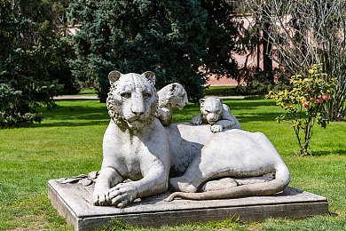 男生女生差差差差APP下载｜性别差异揭秘，数据生活新体验-2