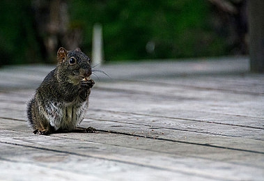 男男Gay  免费视频灌奶｜探秘男同社区，共享灌奶视频，共筑和谐网络世界-2