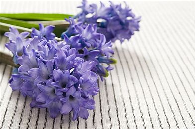 十八大禁止软件｜网络守护者：隐私守护战-2