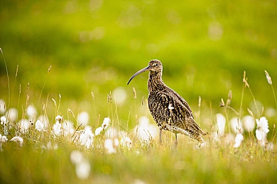 性别自由凸轮性别成熟｜性别自由观念普及推动，多元化性别成熟概念引领社会进步-2