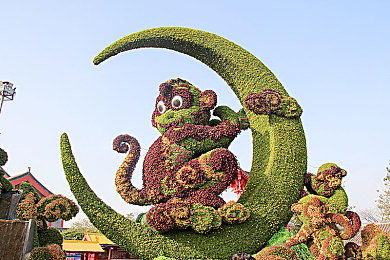 葫芦里面不卖药千万影片你需要huluwa官方集结猫眼电影｜葫芦娃集结，猫眼电影盛宴，经典再现，重温童年-2