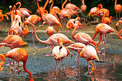 鱿鱼by1259tv官网进入|鱿鱼官网探秘:海量独家资源,开启视听盛宴之旅-4