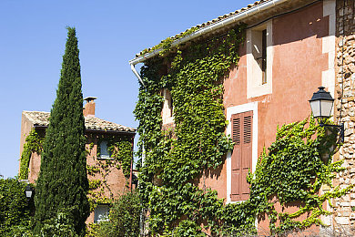 香蕉插入桃子是什么意思｜水果大冒险：香蕉桃子联手，探索无尽乐趣-2