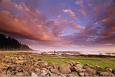 好大 用力 深一点女女｜女性健身新潮流：“好大用力深一点”挑战极限，塑造自信身材-3