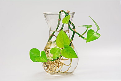 亚洲砖区区免费｜揭秘亚洲砖区免费营销宝藏：企业低成本高效提升竞争力的秘密-2